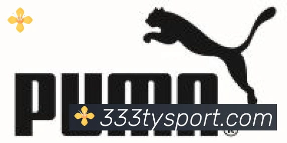 333体育合作伙伴